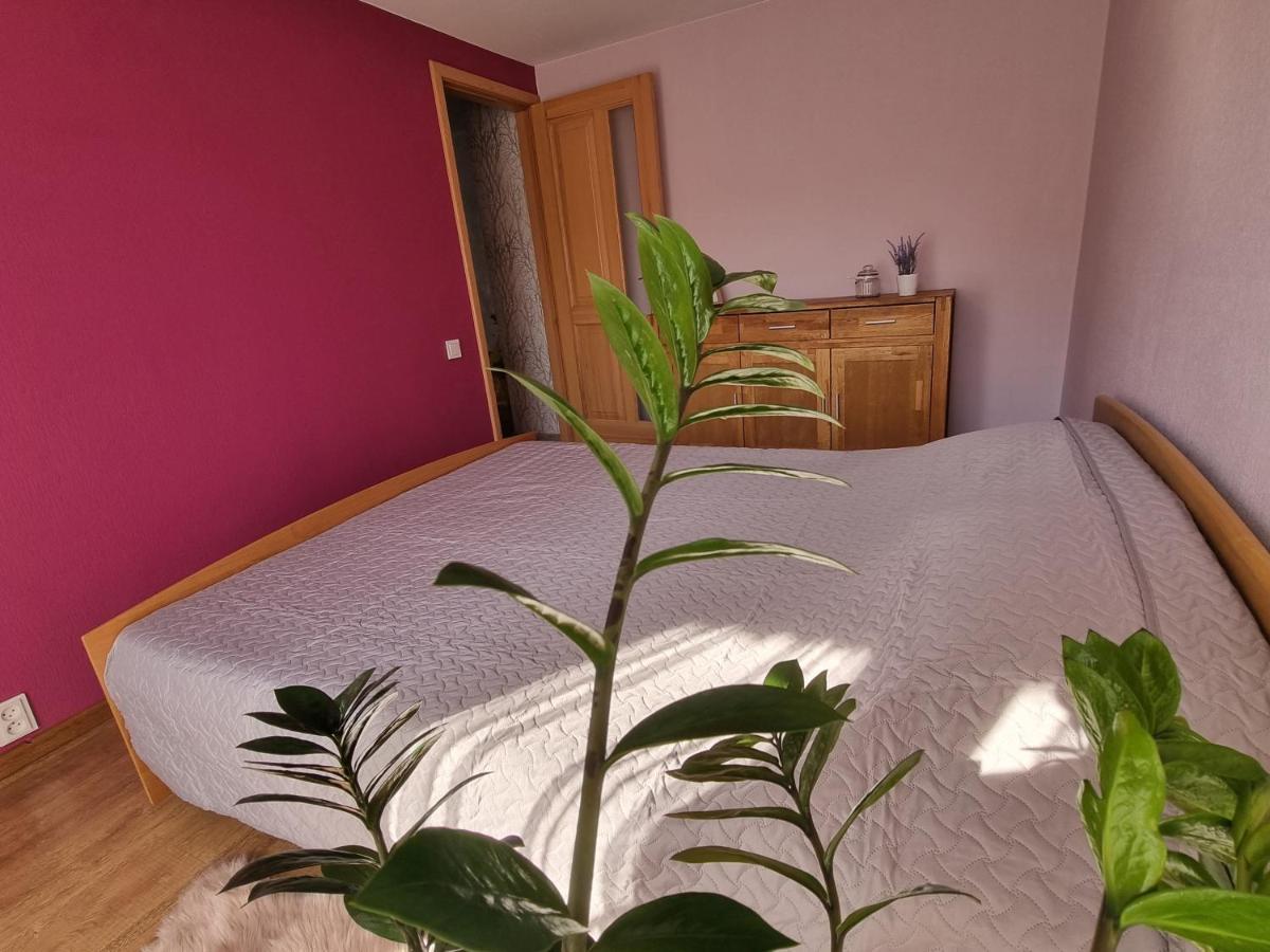Apartment Kursi Kolka Kültér fotó